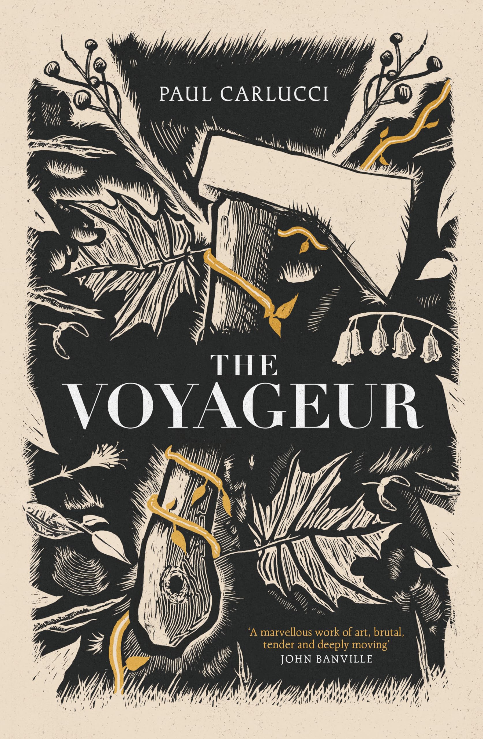 Buy The Voyageur: 'Marvellous work of art' John Banville — BookShops.in