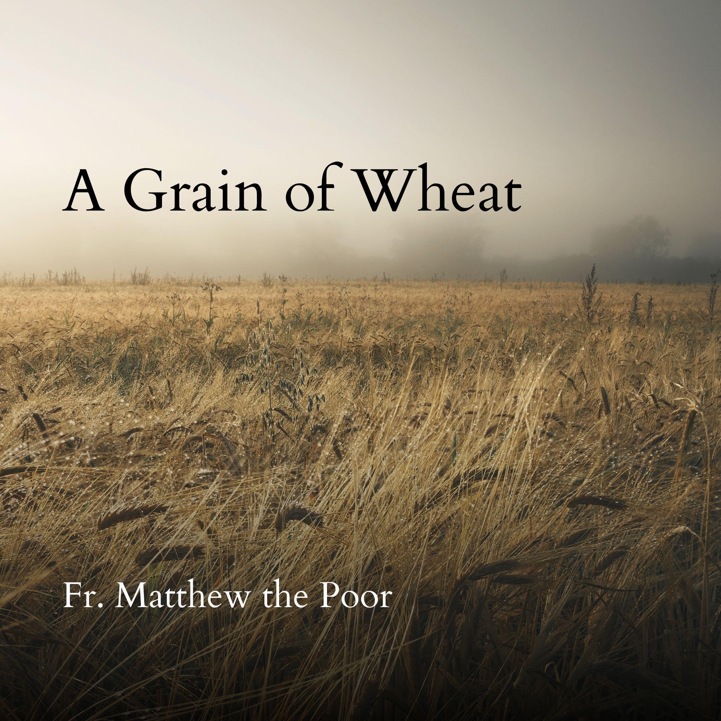 A Grain of Wheat