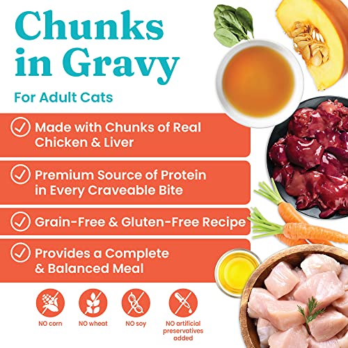 Solid Gold Wet Cat Food For Adult & Senior Cats 24 Pack - Wholesome Selects Chunks In Gravy - Made With Real Chicken Liver & Pumpkin For Healthy Digestion And Sensitive Stomach #TOP1