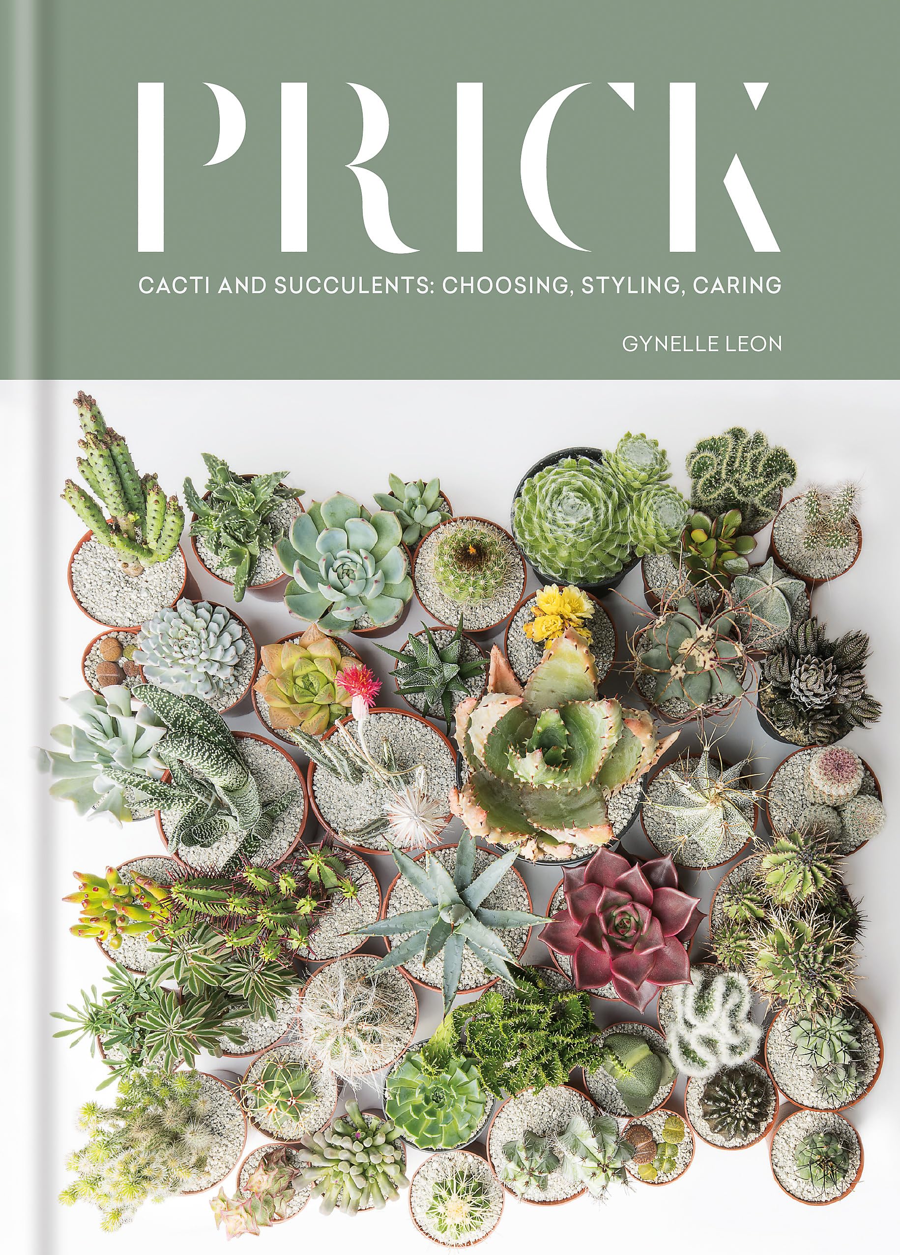 Prick: Cacti and Succulents: Choosing, Styling, Caring Hardcover – 9 Oct. 2017