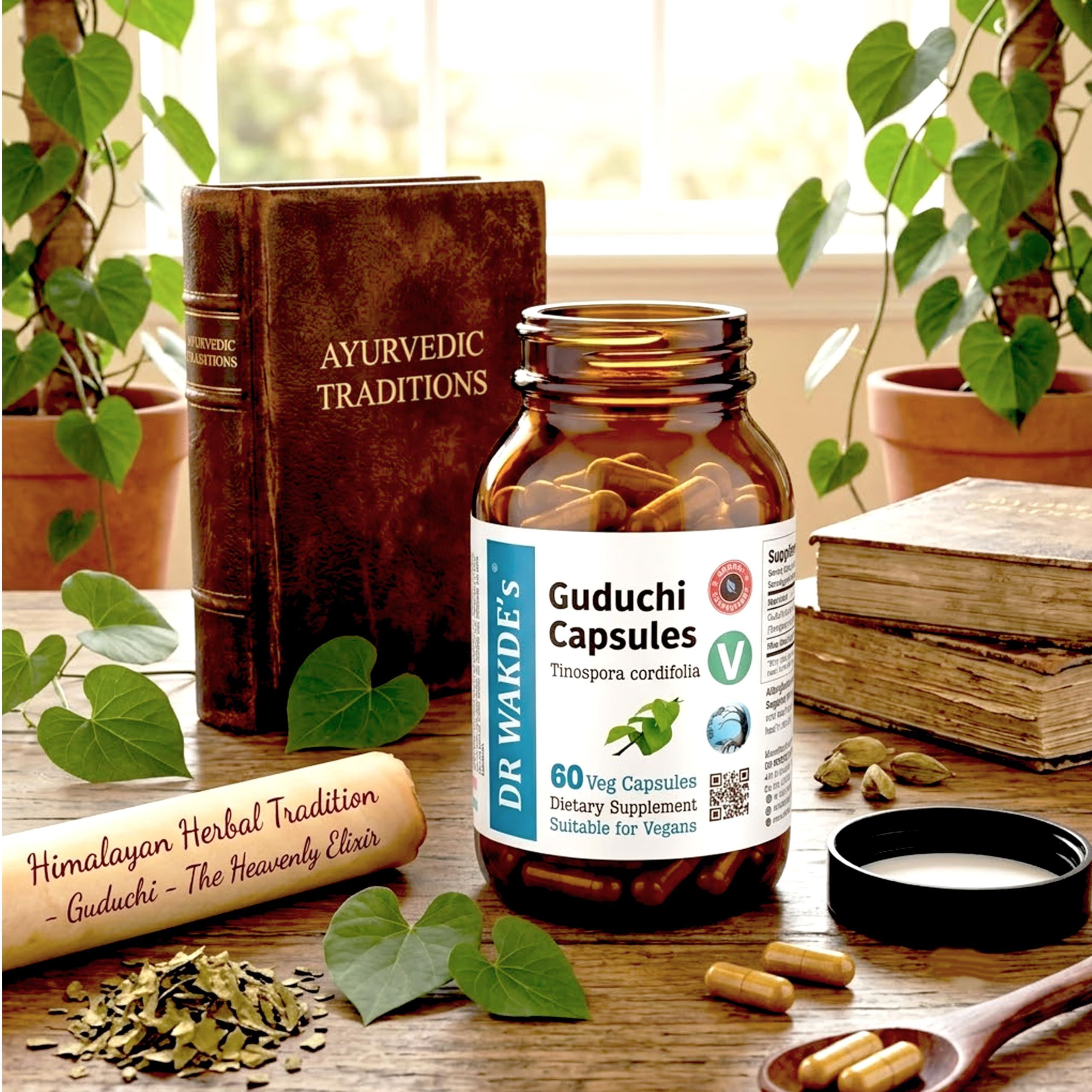 DR WAKDE'S Guduchi Kapseln – Giloy (Tinospora cordifolia) 500 mg | 60 Vegane Kapseln | Immunsystem & Wohlbefinden | 100% Reines Ayurvedisches Kräuterpulver | Ohne Zusatzstoffe | Vegan & Vegetarisch