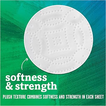 Seventh Generation Paper Towels, 100% Recycled Paper, 2-Ply, 6-Count (Pack of 4)