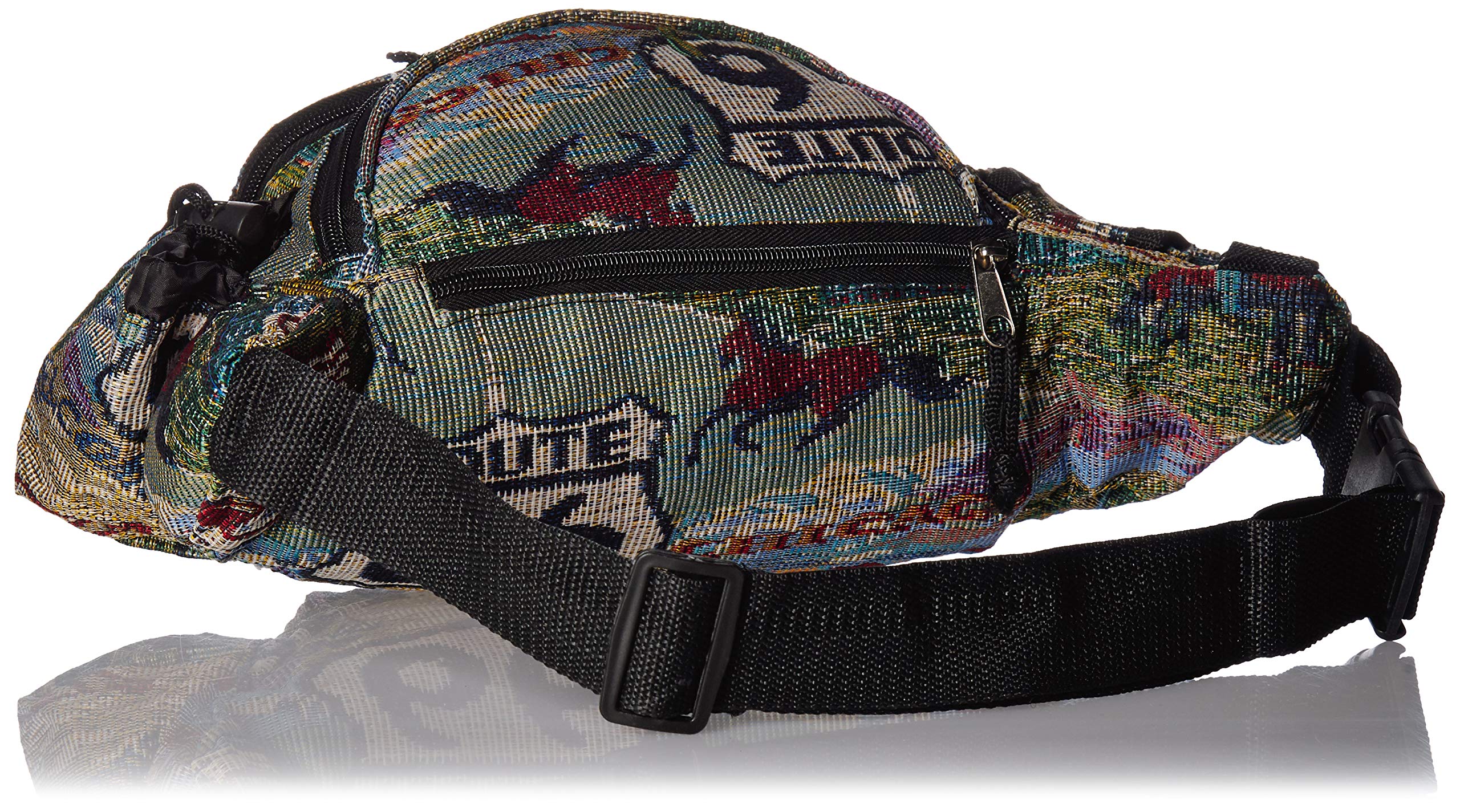 EXPLORER Fanny Pack, Large