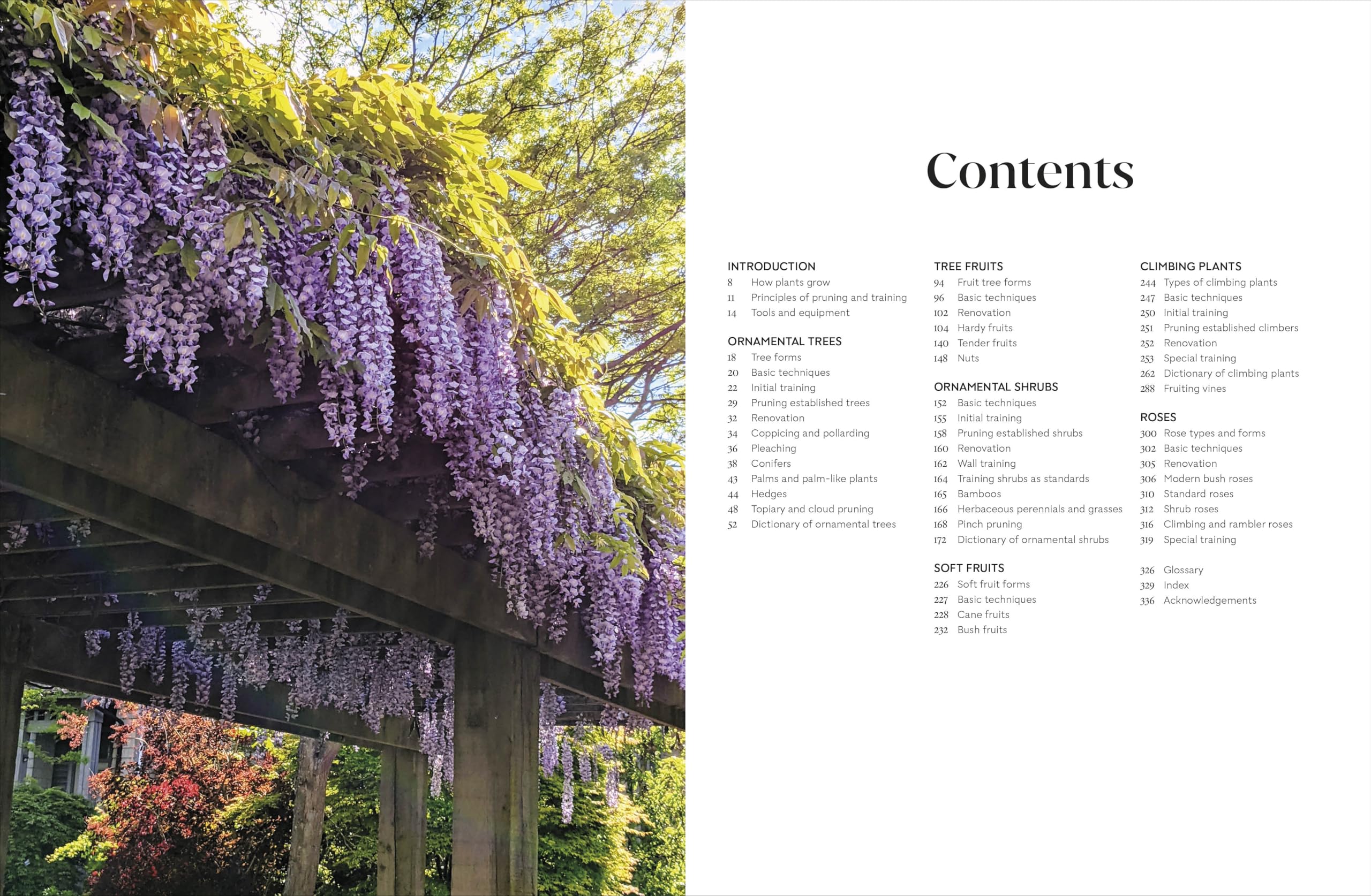 RHS Pruning and Training: What, When, and How to Prune Over 800 Plants