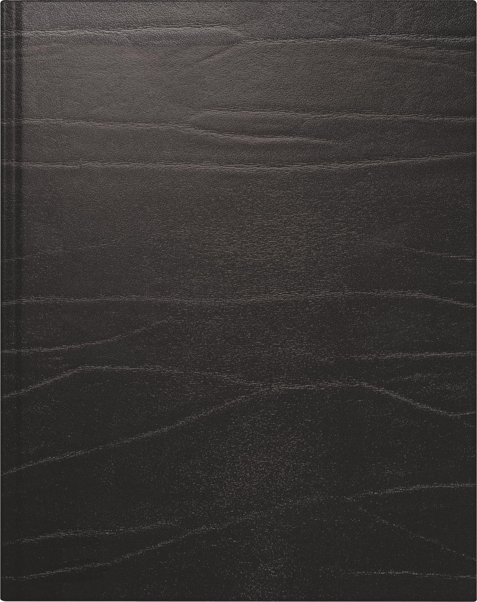 rido/idé Buchkalender Mod. Managerkalender TM 2026 | 20,5×26 cm, Leder, schwarz
