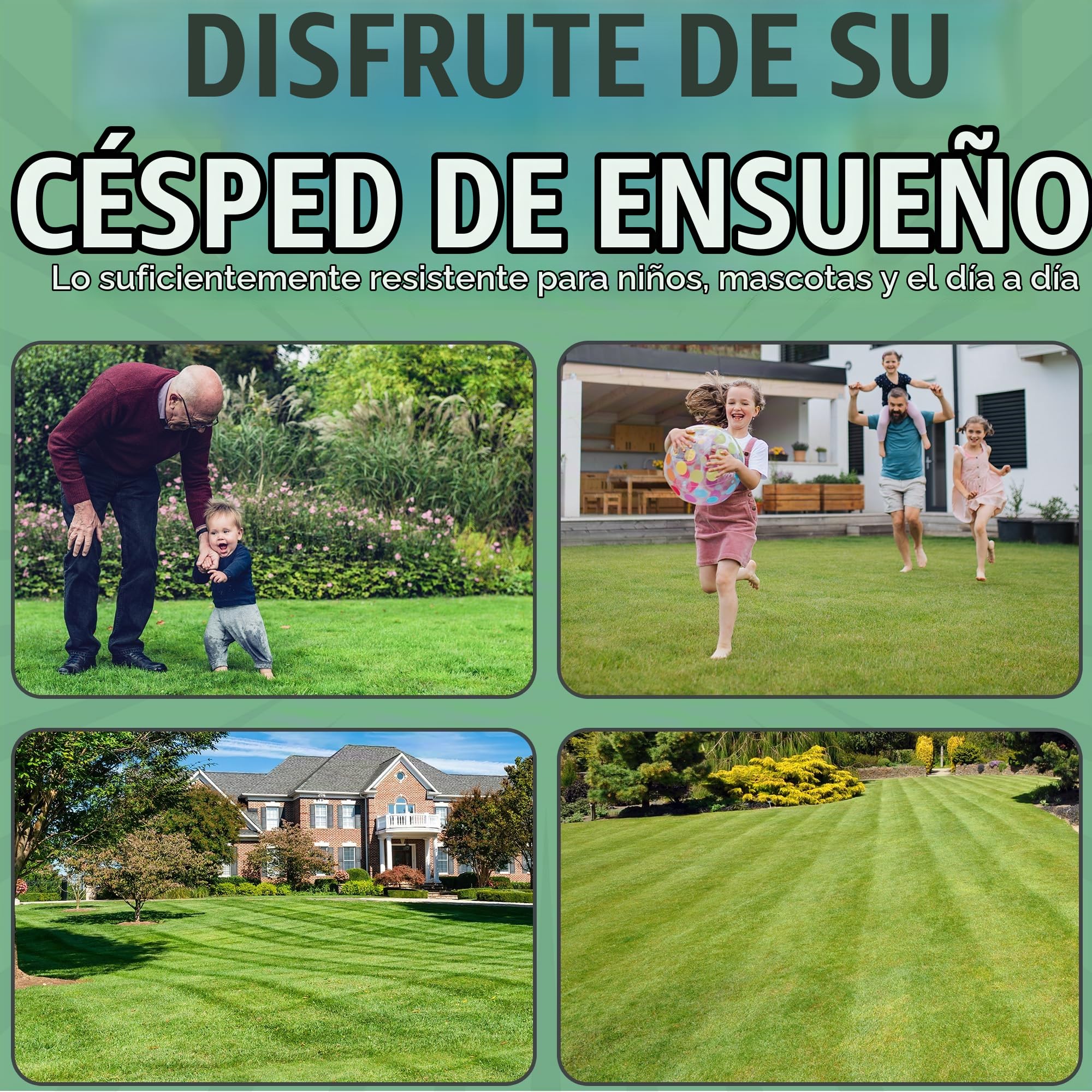 GroundMaster Semillas de césped para jardín resistente y duradero de primera calidad. Disponible en varios tamaños.