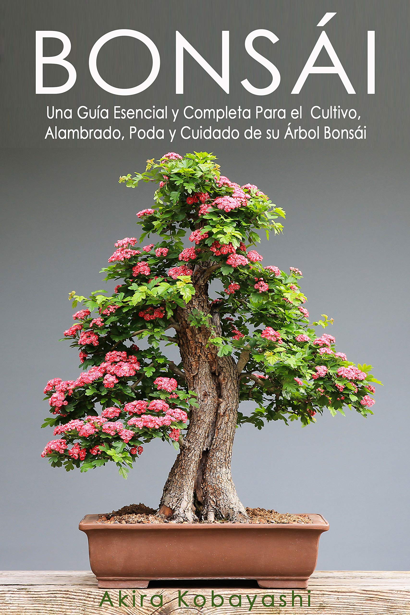 Buy BONSÁI Una Guía Esencial y Completa Para el Cultivo, Alambrado