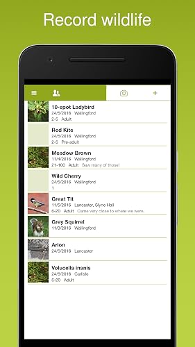 iRecord App – vue 2