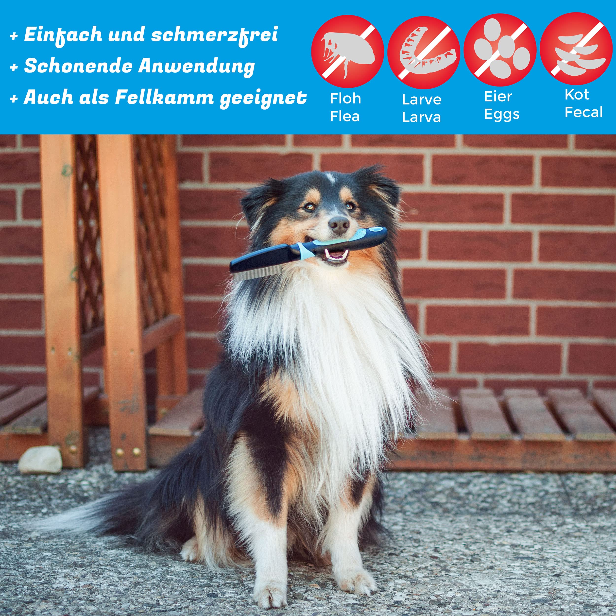 BluePet Peigne démêlant Anti-puces pour Chiens et Chats - Peigne Anti-poux - Elimine Toutes Sortes de parasites - Complément idéal pour Les traitements de puces et poux (bleu)
