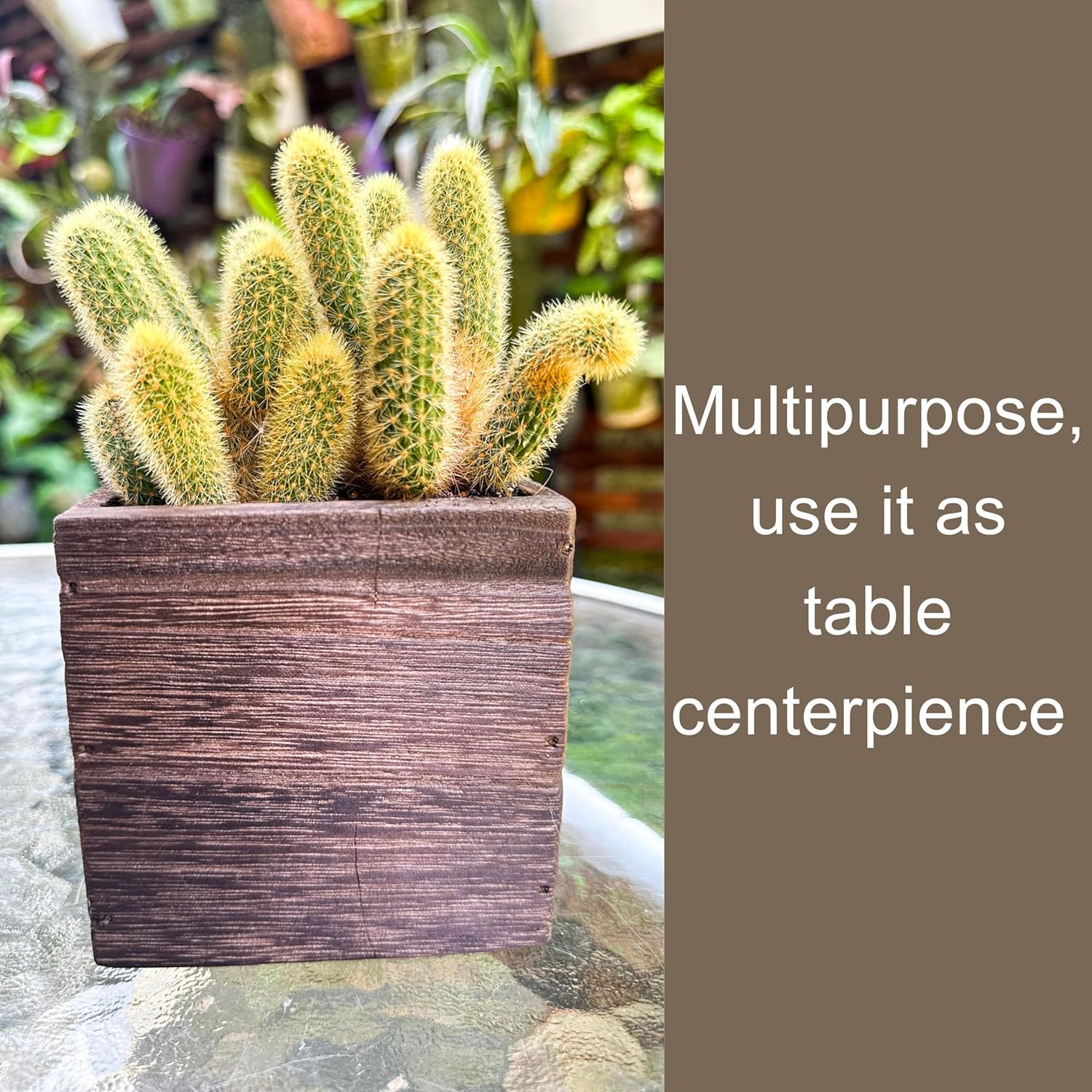 LaLaGreen Wood Planter Box for Plants (4x4 Inch, 6 Pack) Small Square Wooden Wall Planters for Indoor Plant, Hanging Window Flower Boxes Herb Planter Table Centerpiece Modern Home Garden Office Decor - Image 6