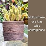 LaLaGreen Wood Planter Boxes for Plants (4x4 Inch, 8 Pack) Small Square Wall Planters for Indoor Plant, Window Hanging Flower Pot Wooden Box for Table Centerpiece Herb Balcony Home Garden Office Decor | Square Wall Mounted Planters for Indoor Plant,