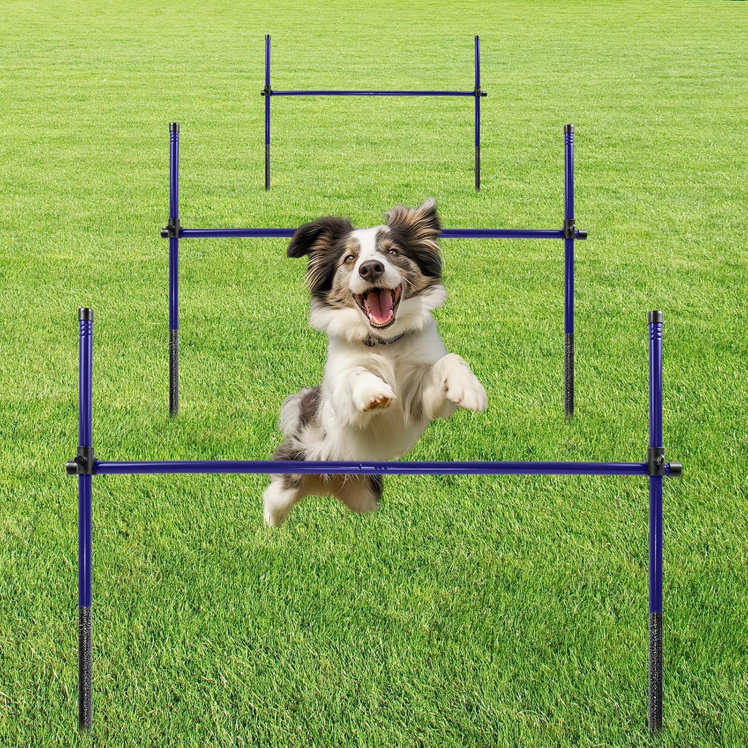Dog Agility Course Backyard Set, Metal Dog Agility Training Equipment Adjustable Height Obstacle Course for Dog Hurdles Jumps (3 Pack)