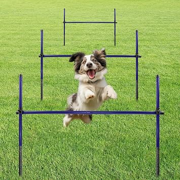 Dog Agility Course Backyard Set, Metal Dog Agility Training Equipment Adjustable Height Obstacle Course for Dog Hurdles Jumps 3 Pack