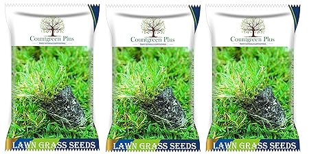 Countgreen Plus Organic Bermuda Grass Seeds for Lush Gardens, Vibrant Lawns, and Durable Sports Grounds ? 3-Pack Combo (500 Seeds per Pack)