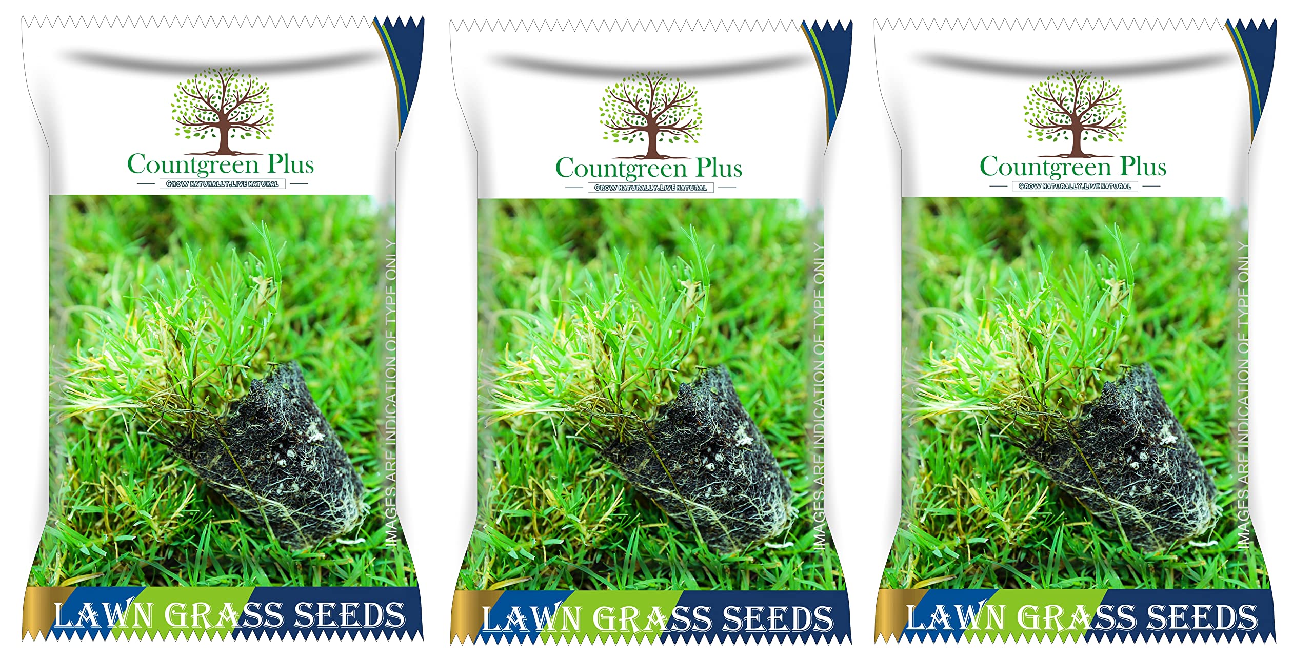 Countgreen Plus Organic Bermuda Grass Seeds for Lush Gardens, Vibrant Lawns, and Durable Sports Grounds – 3-Pack Combo (500 Seeds per Pack) (B0BZLFH742) Amazon Price History, Amazon Price Tracker
