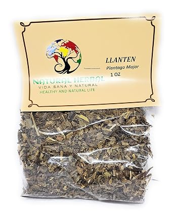 LLanten Hierba Tea 1 onz1 of Pack