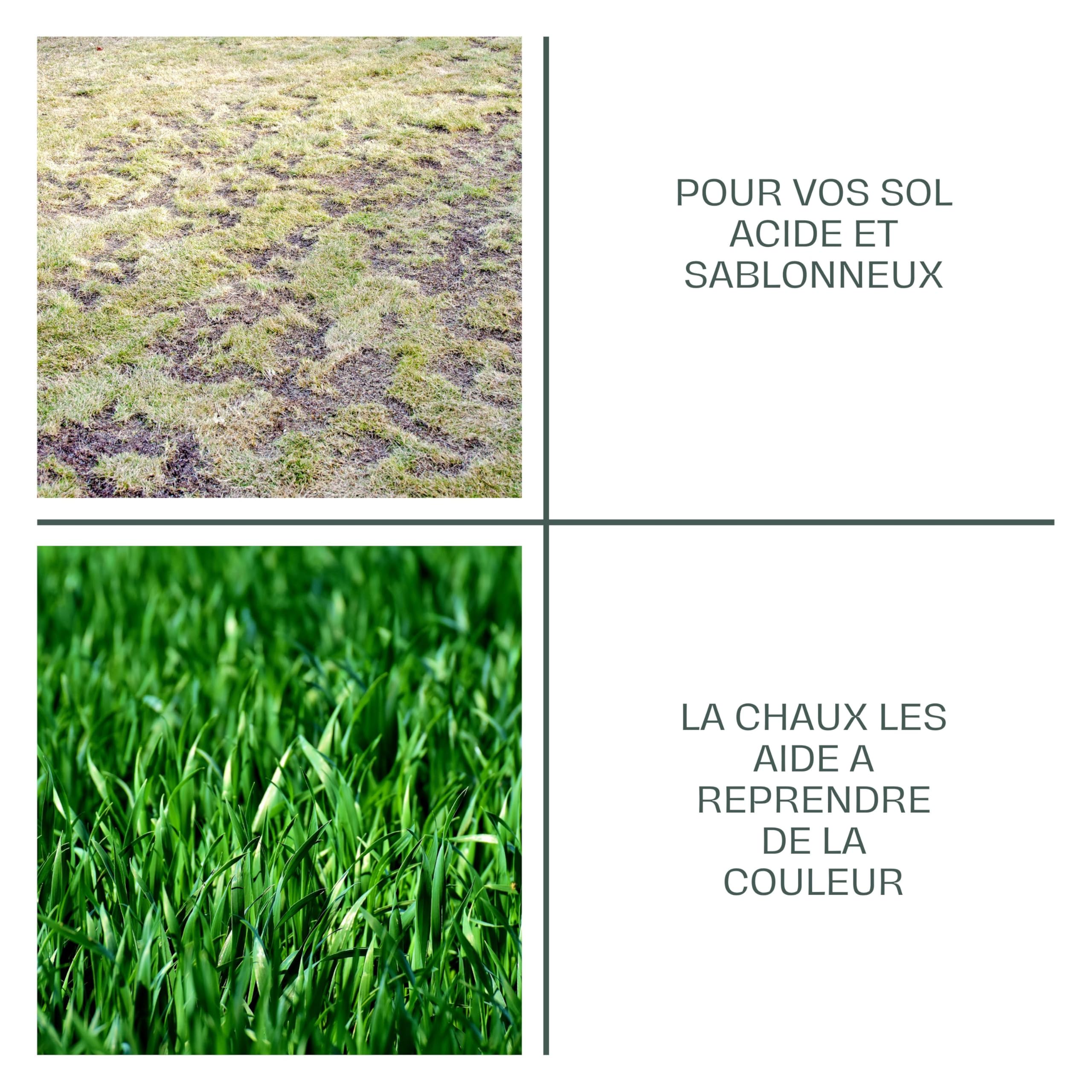 La Plaine Chassart - Chaux Magnésienne en Granules 20kg - Amendement Pour Sol Acide - Gazon, Pelouses, Jardin d'ornement, Potager, Compost