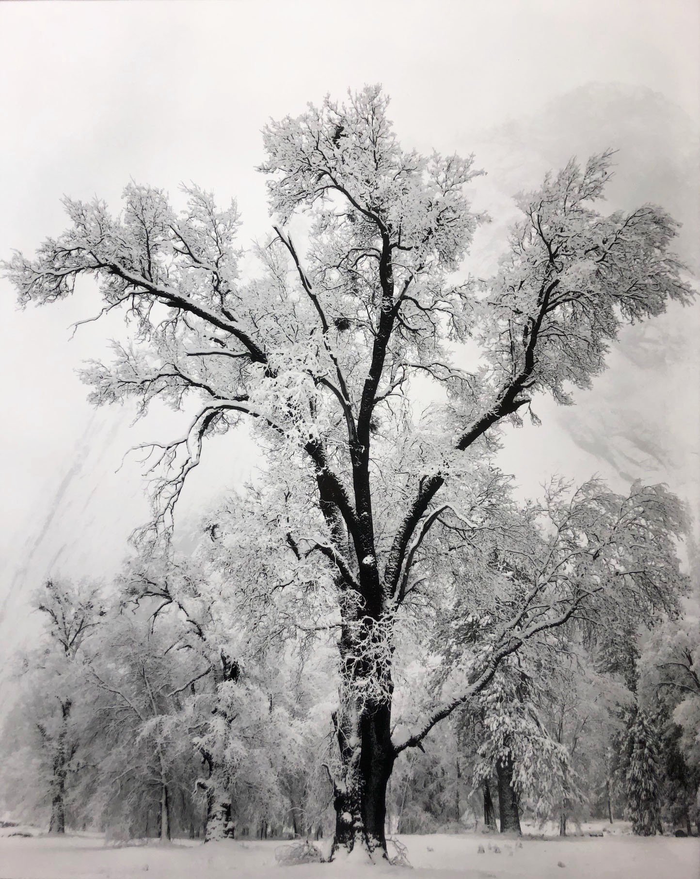 Amazon.com: Ansel Adams