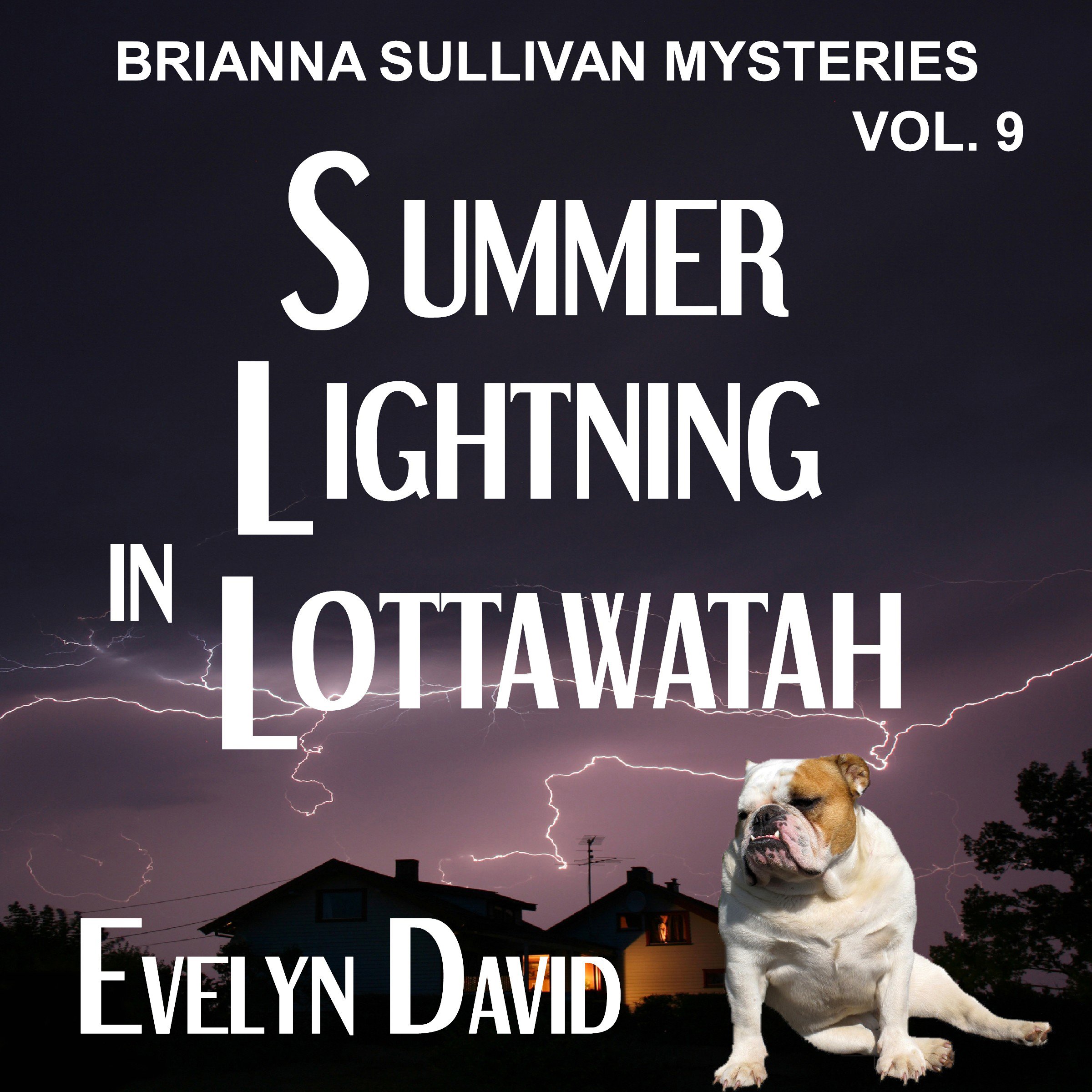 Summer Lightning in Lottawatah