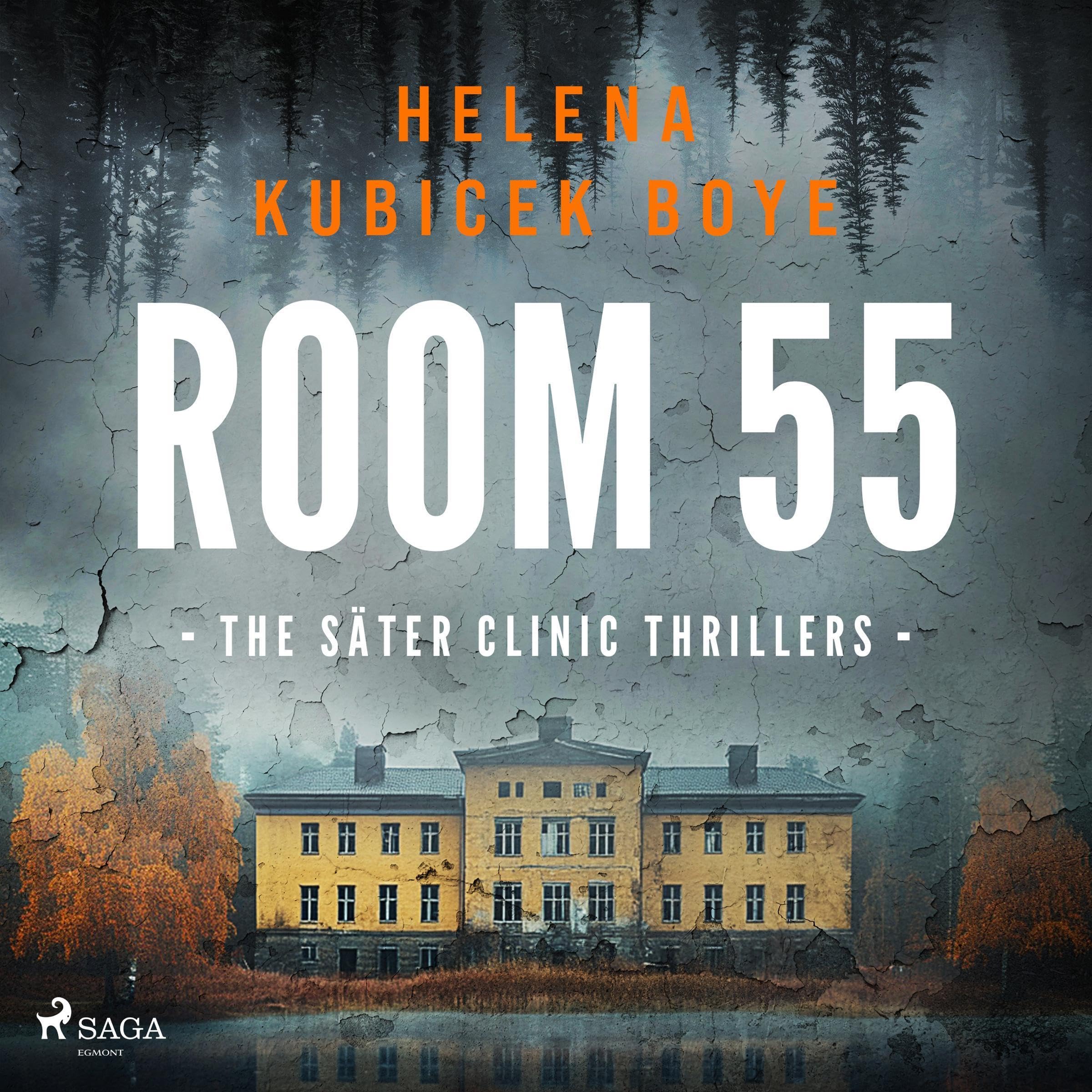 Room 55