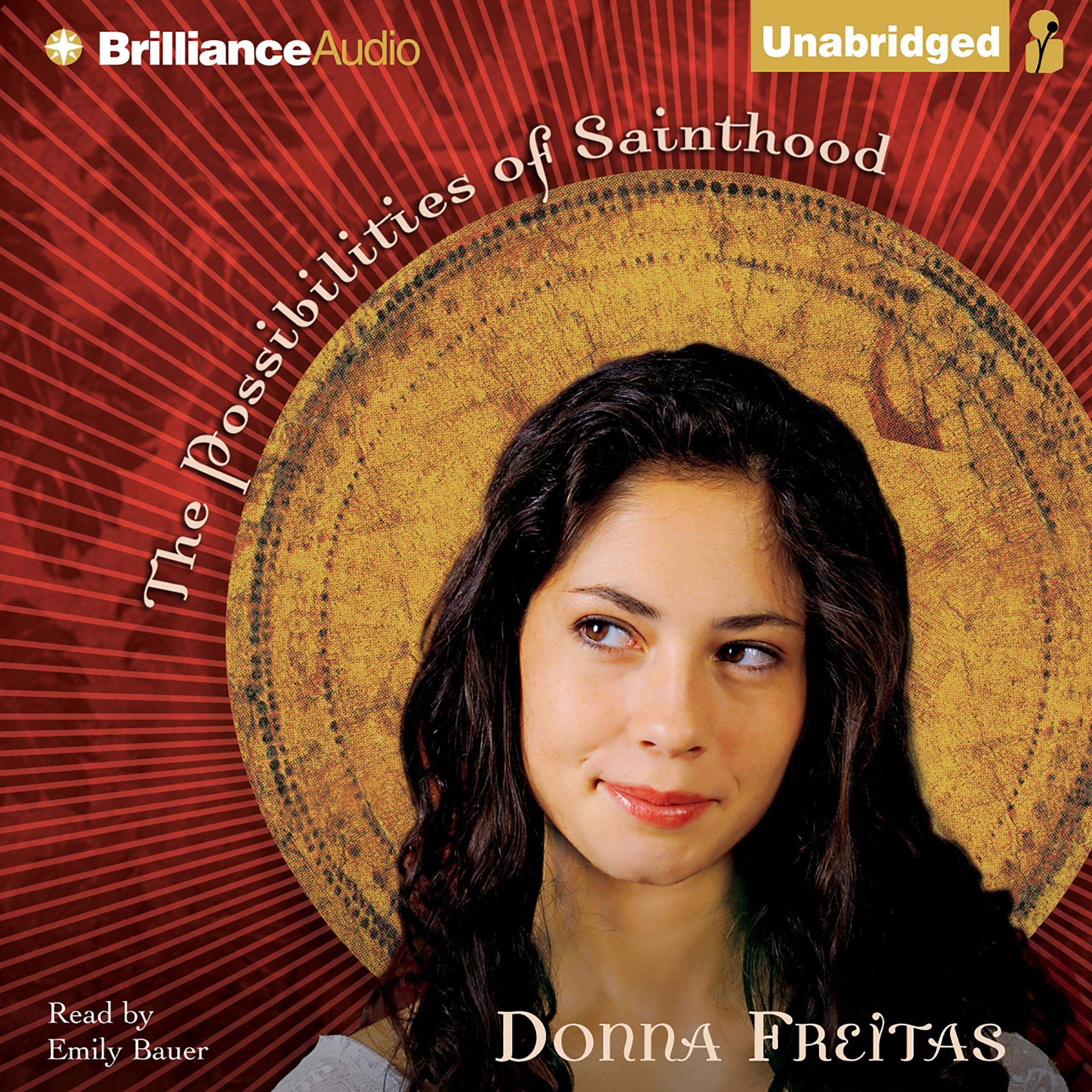 Cover art for The Possibilities of Sainthood