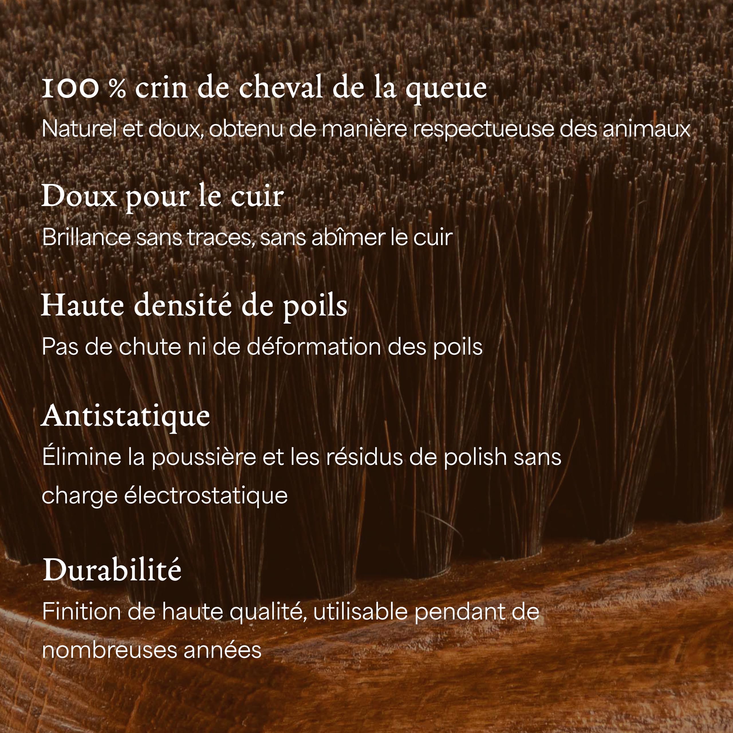 Langer & Messmer Brosse à Chaussures en CRIN de Cheval - Entretien Professionnel des Chaussures