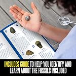 Educational Insights GeoSafari Fossil Excavation Kit, Kids Science Kit, Dinosaur Science Toy, Ages 7+