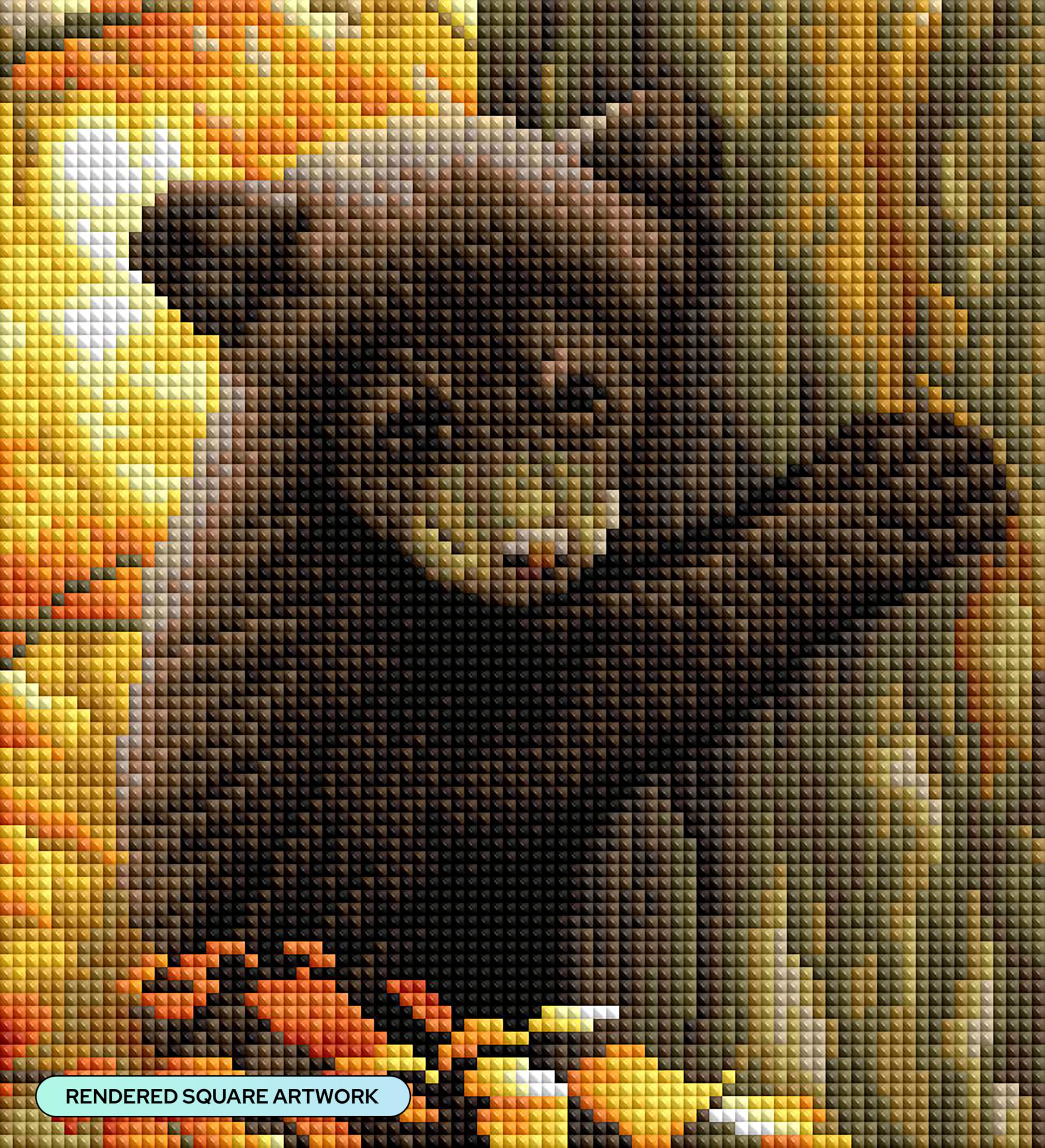 Amazon.com: DIAMOND ART CLUB Black Bear Diamond Art Kits for