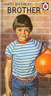 Brother Birthday Card, Happy Birthday Card Brother, Ladybird Brother Birthday Card, Happy Birthday Brother Card,Multi,9 x 5