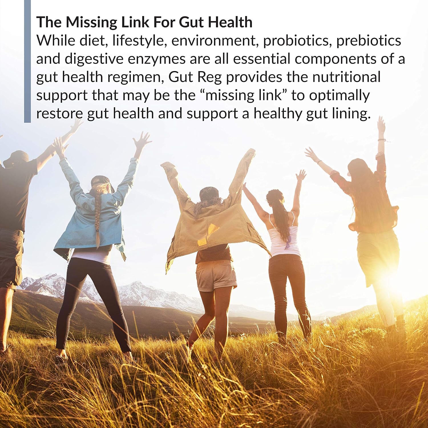 BioTrust Gut Reg Supports a Healthy Gut Lining, Helps Restore Gut Health and Helps Relieve Occasional GI Discomfort with PepZin GI, L-Glutamine and Ginger Extract, Non-GMO, Gluten-Free (60 Capsules)