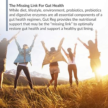 BioTrust Gut Reg Supports a Healthy Gut Lining, Helps Restore Gut Health and Helps Relieve Occasional GI Discomfort with PepZin GI, L-Glutamine and Ginger Extract, Non-GMO, Gluten-Free (60 Capsules)