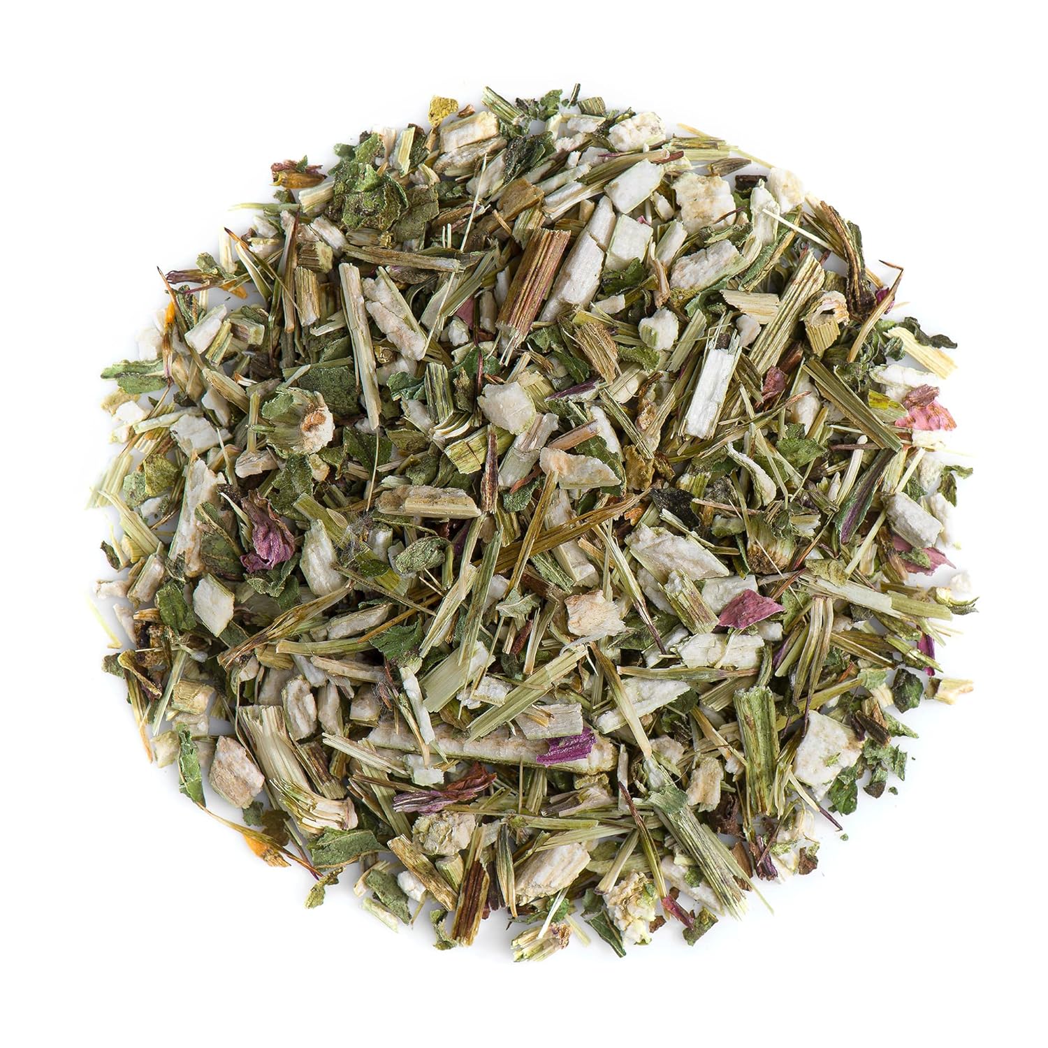 Purple Coneflower Herb Echenecia Tea Immunity Support