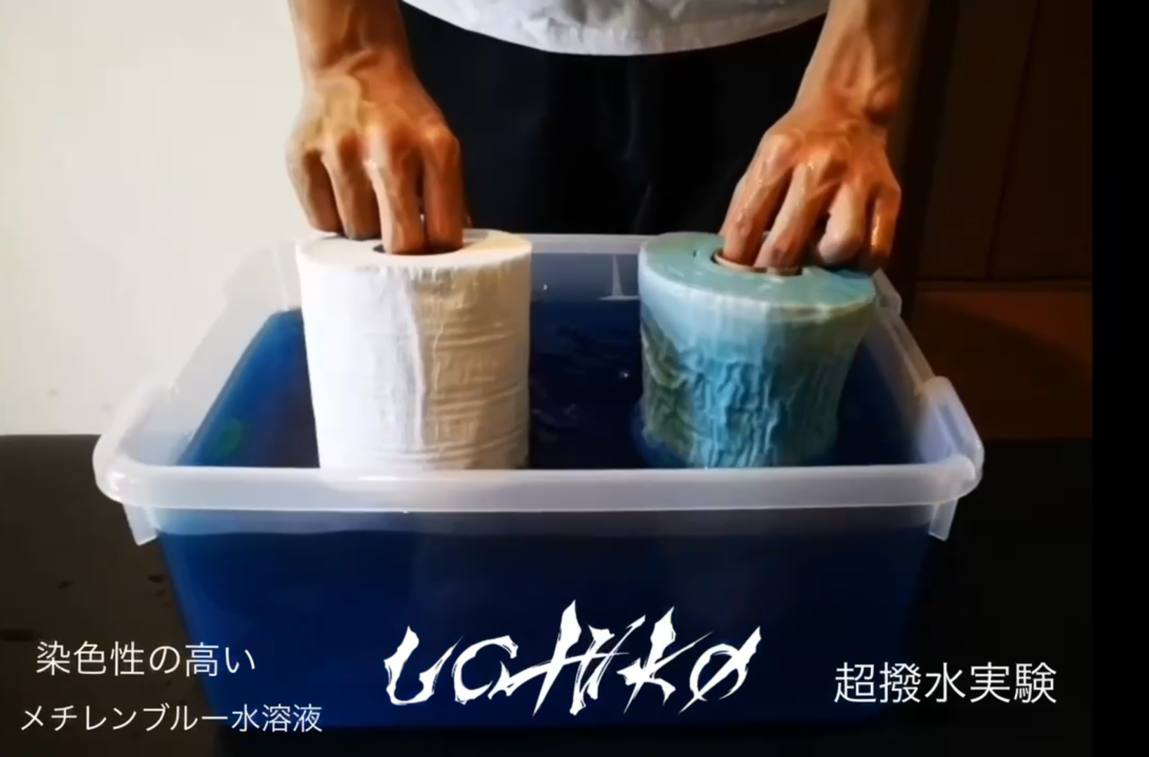 Amazon.co.jp: ウチコ(uchiko) 生地用超撥水剤『蓮』Hachisu 200ml