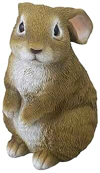 うさぎ様 fit=scale-down,w=1200