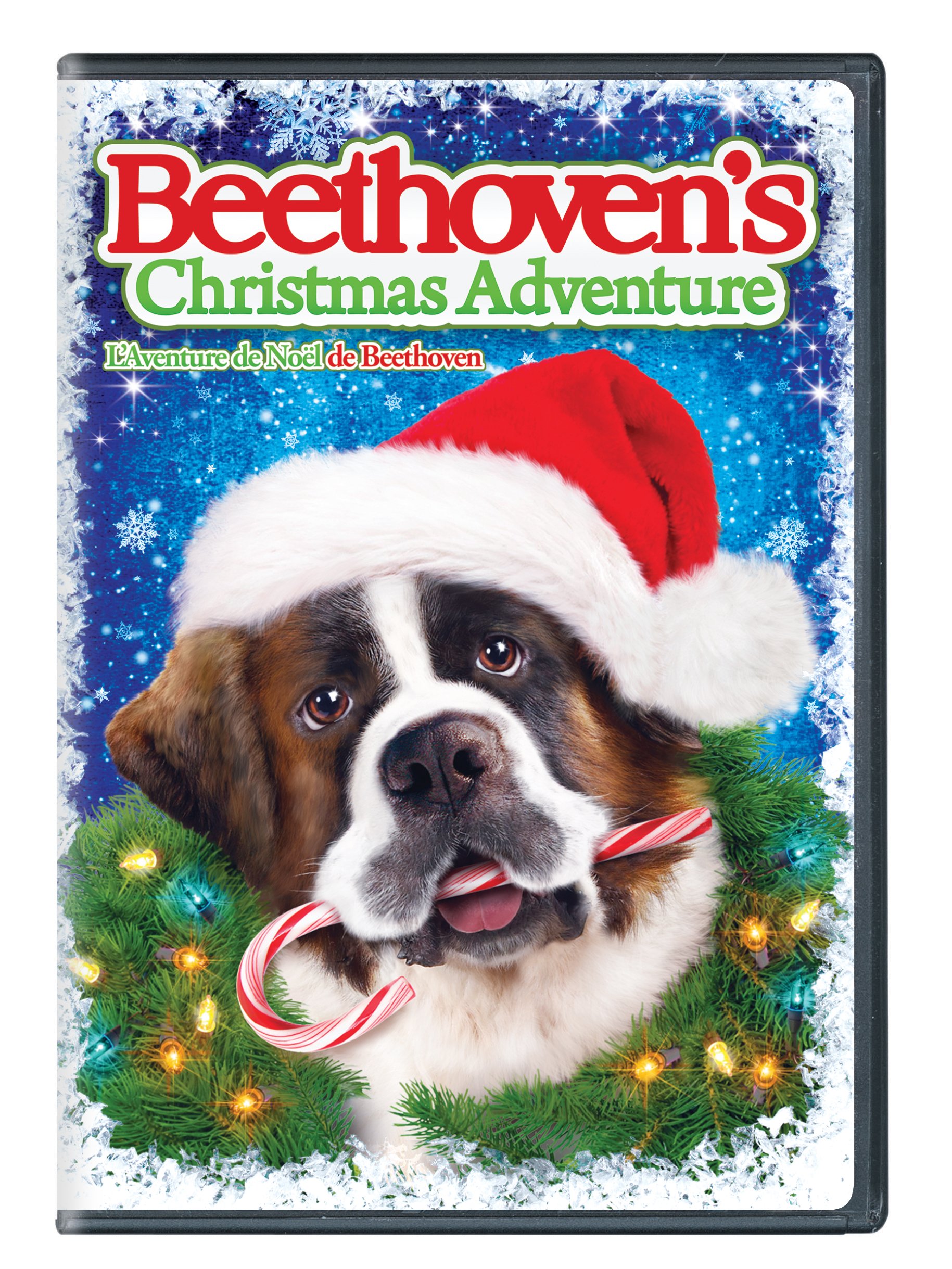 Beethoven's Christmas Adventure - Merry Faces Line Look [DVD] [DVD]