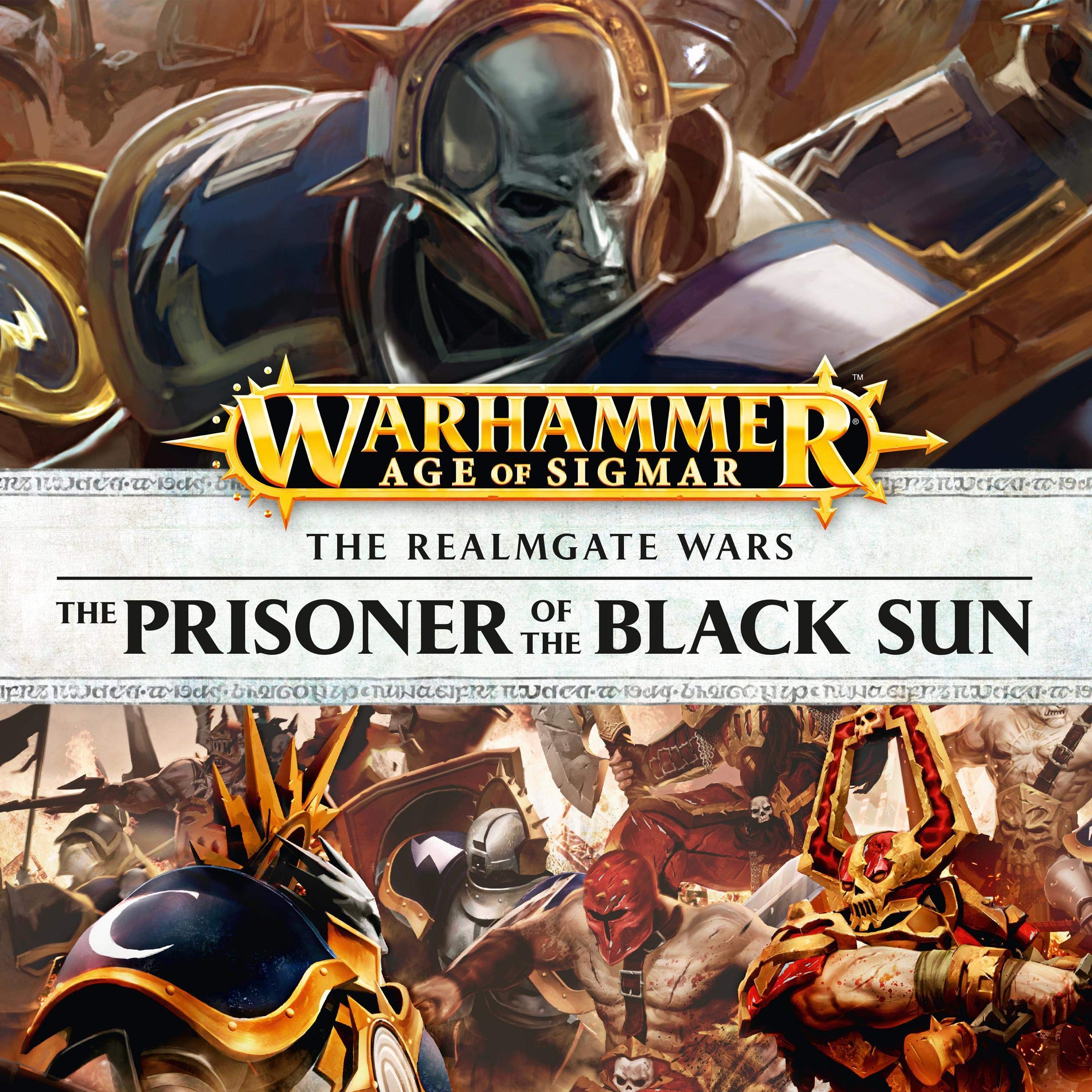 Cover art for The Prisoner of the Black Sun