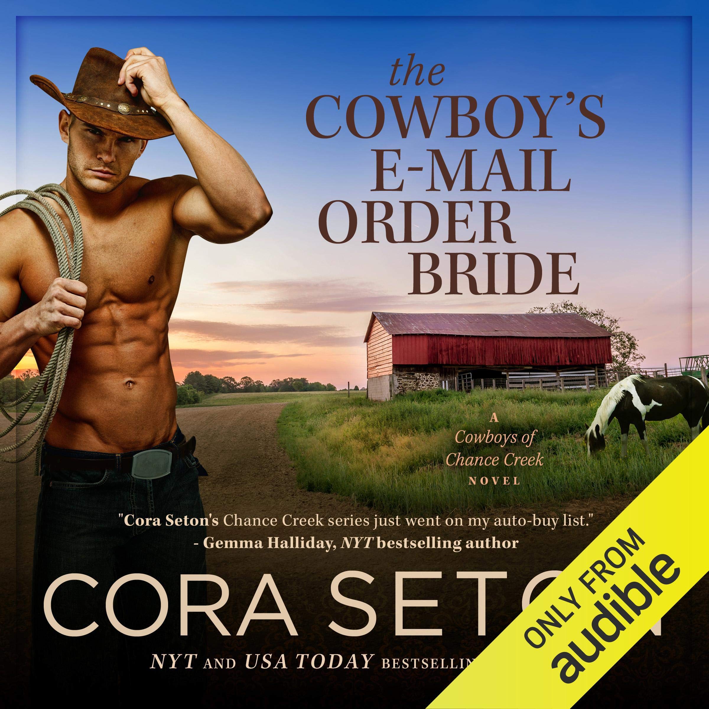 Cover art for The Cowboy's E-Mail Order Bride