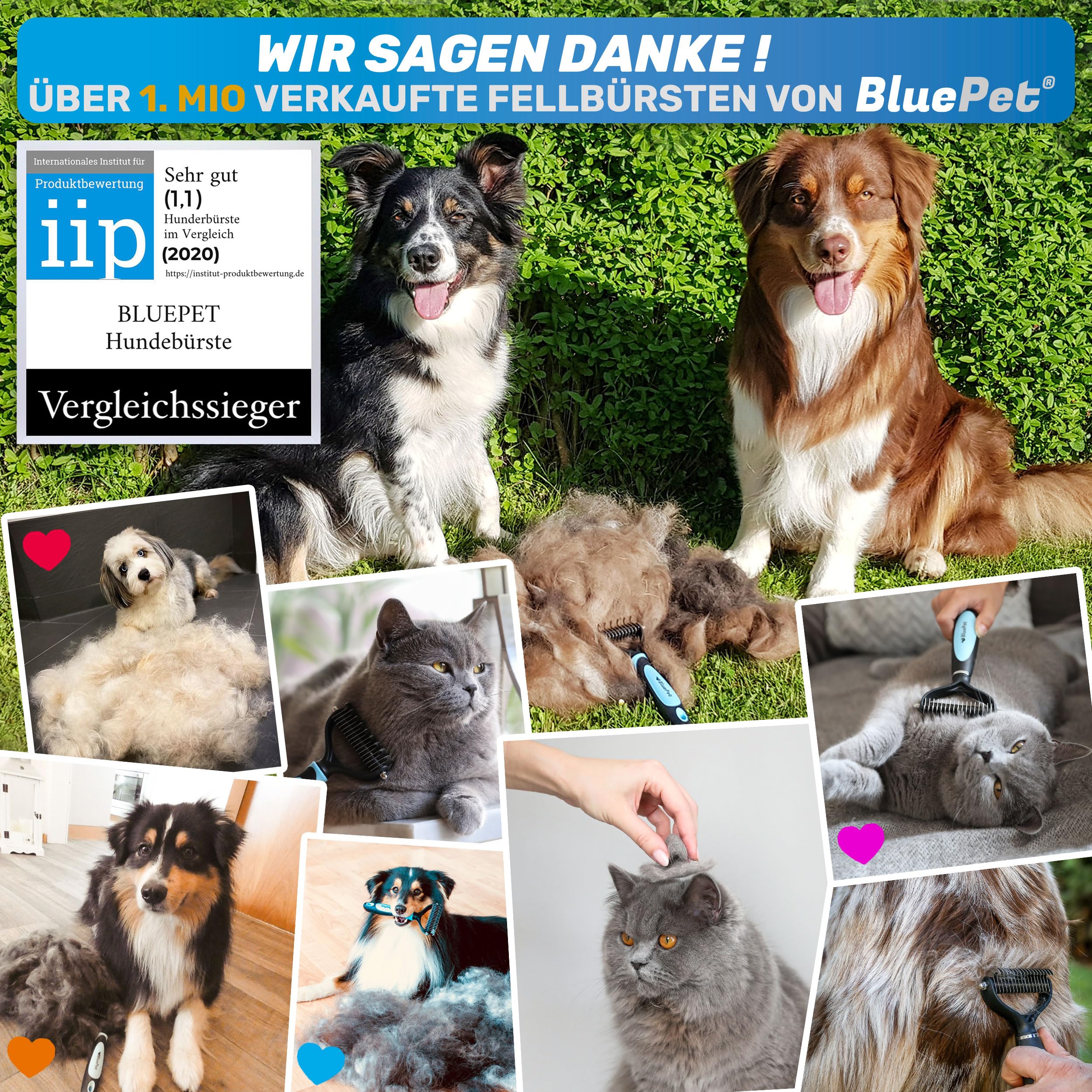 BluePet Hundebürste Unterwolle langhaar & Katzenbürste langhaar I Unterwollkamm entfernt Unterwolle & Verfilzungen I Deckhaarschutz & Knoten Entfernen I Unterfellbürste Hunde für Fellwechsel