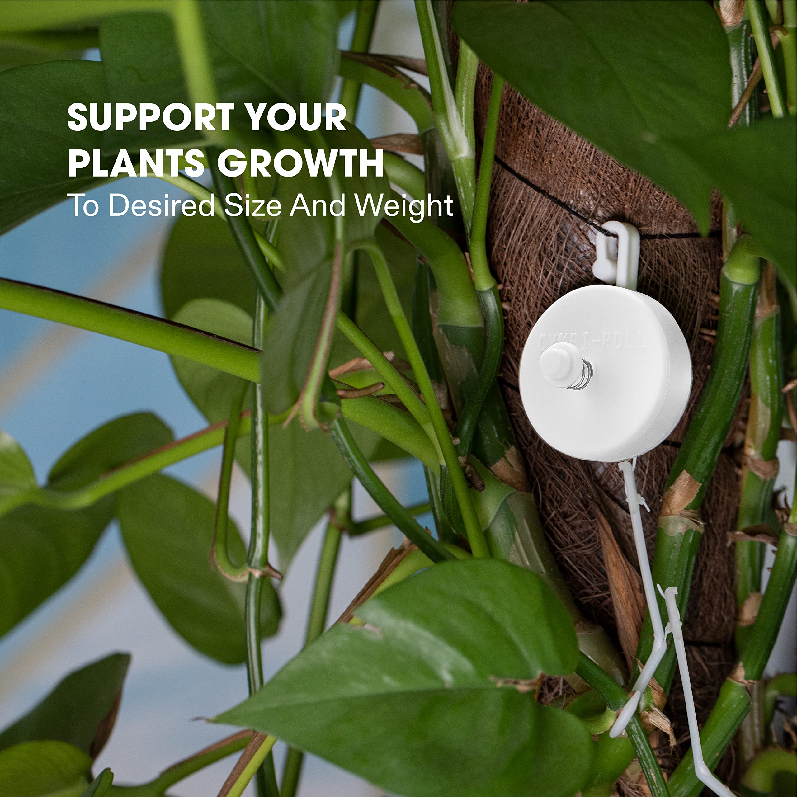 boobie planter Boobie Tassel Concrete Planter – Resting Plant Face main image 1