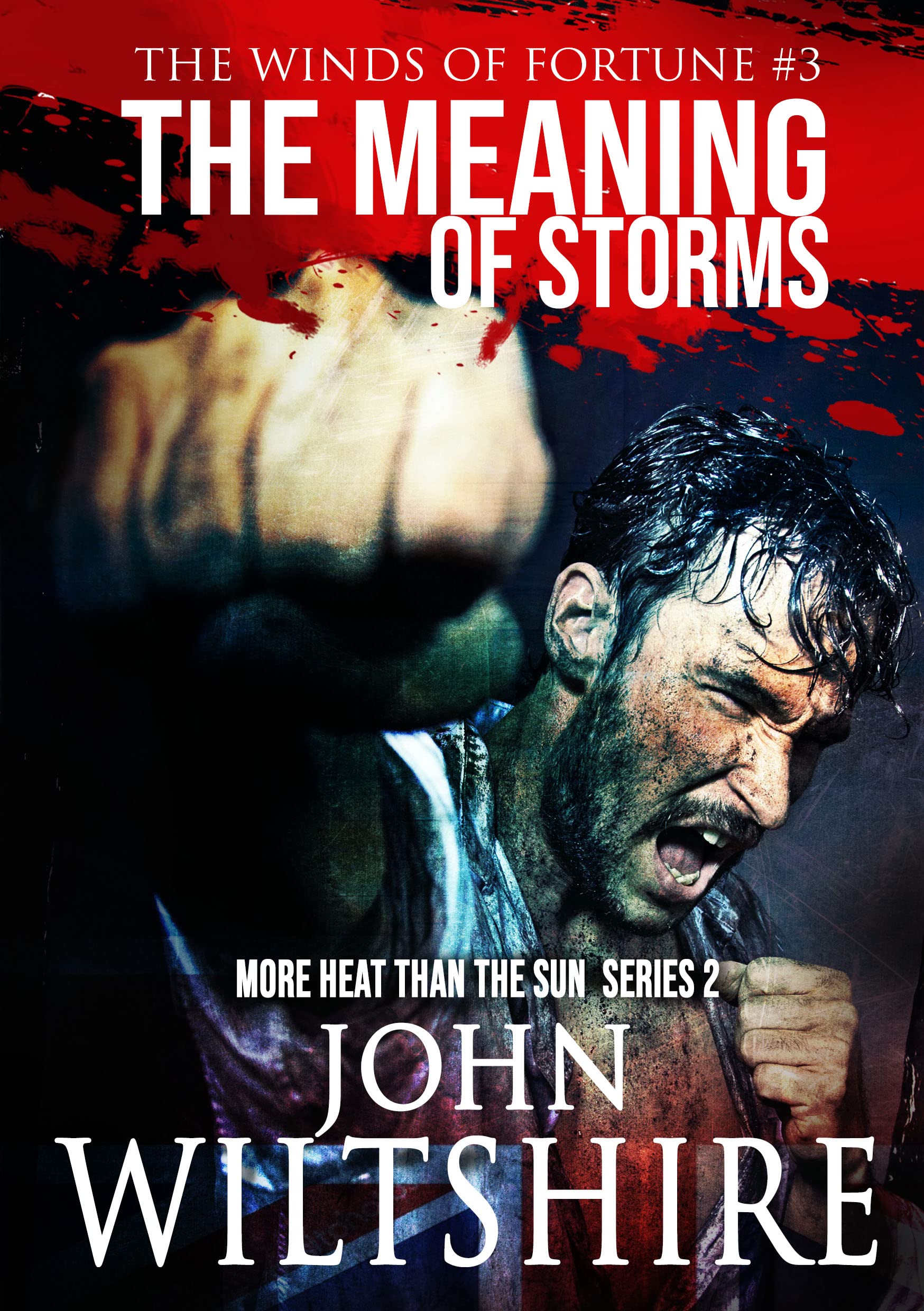 The Meaning of Storms (The Winds of Fortune Book 3)