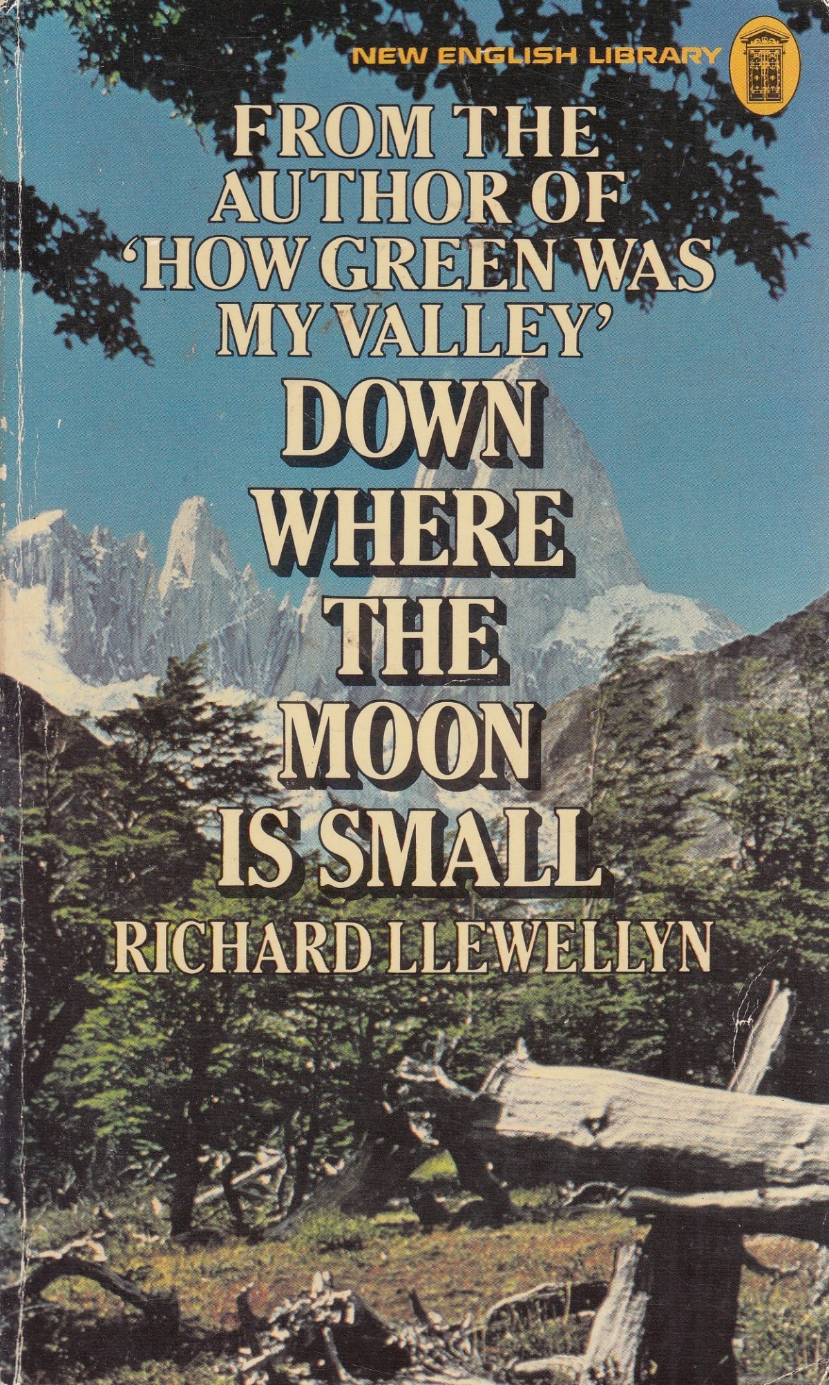 Buy Down Where the Moon is Small — BookShops.in