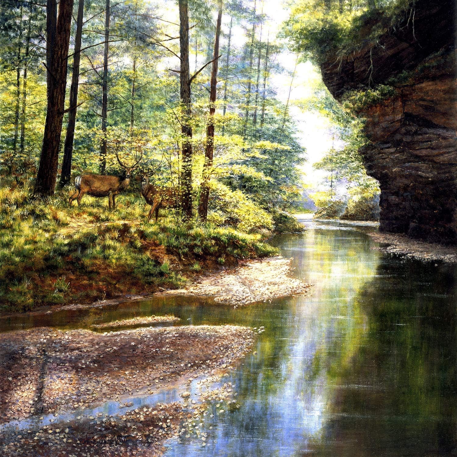 SUNSOUT INC - Quiet Forest - 1000 pc Jigsaw Puzzle by Artist: Bill Makinson - Finished Size 26" x 26" - MPN# 44720