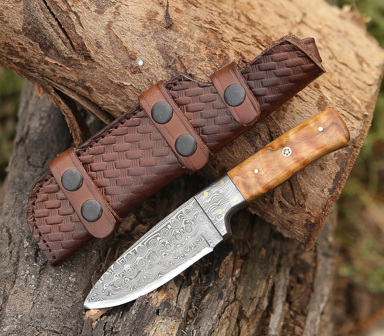 SHOKUNIN USA ApexSharp Survival Hunting Knife with Sheath, 4-inch Fixed Blade Knife Full Tang Skinning Knife with Sheath for Camping, Outdoor, Bushcraft, EDC Knives