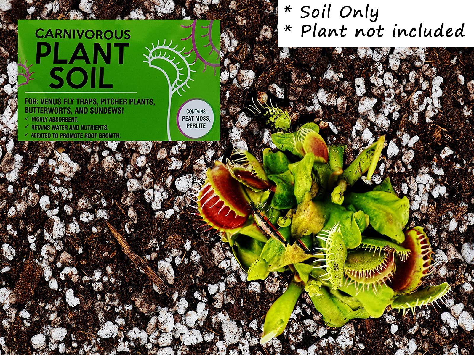 Buy 4 Quarts Carnivorous Plant Soil HandMixed Durable Bag Sphagnum Peat Moss and Perlite for
