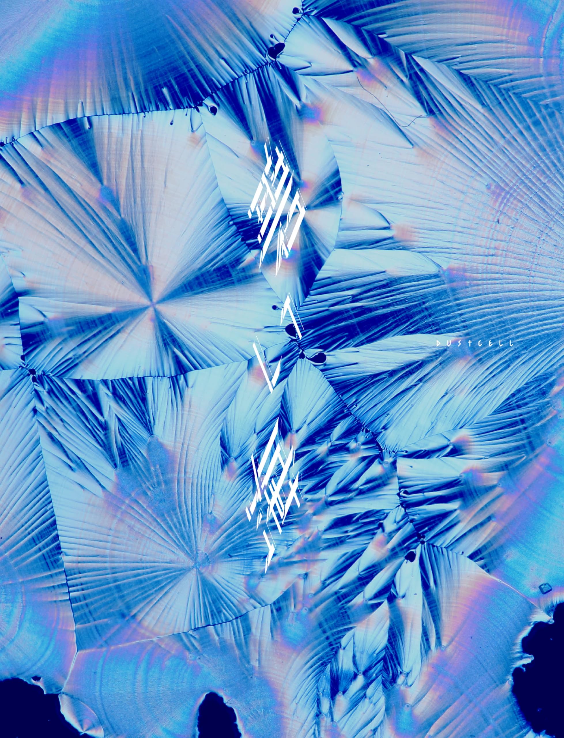 Amazon.co.jp: 【メーカー特典あり】碧い海 (AL) (初回限定盤