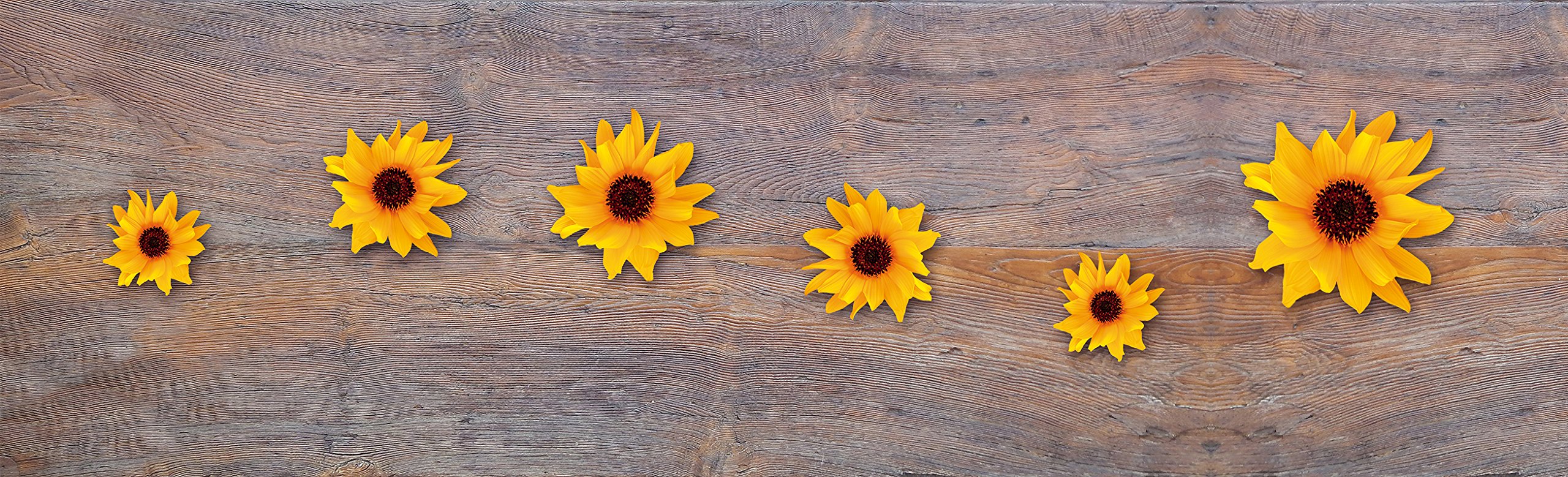 Camino de cocina floral Doge Milano: alfombra antideslizante ideal para proteger tu suelo.