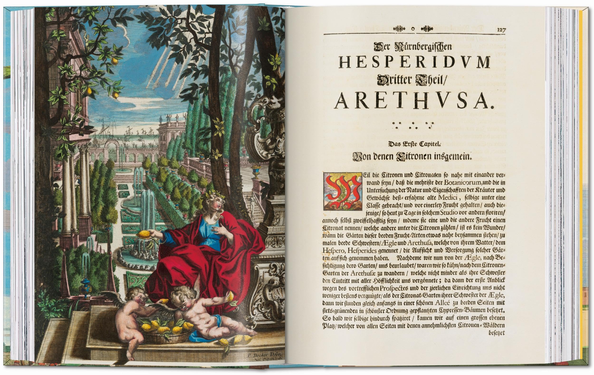J.C. Volkamer: The Book of Citrus Fruits. 45th Ed.