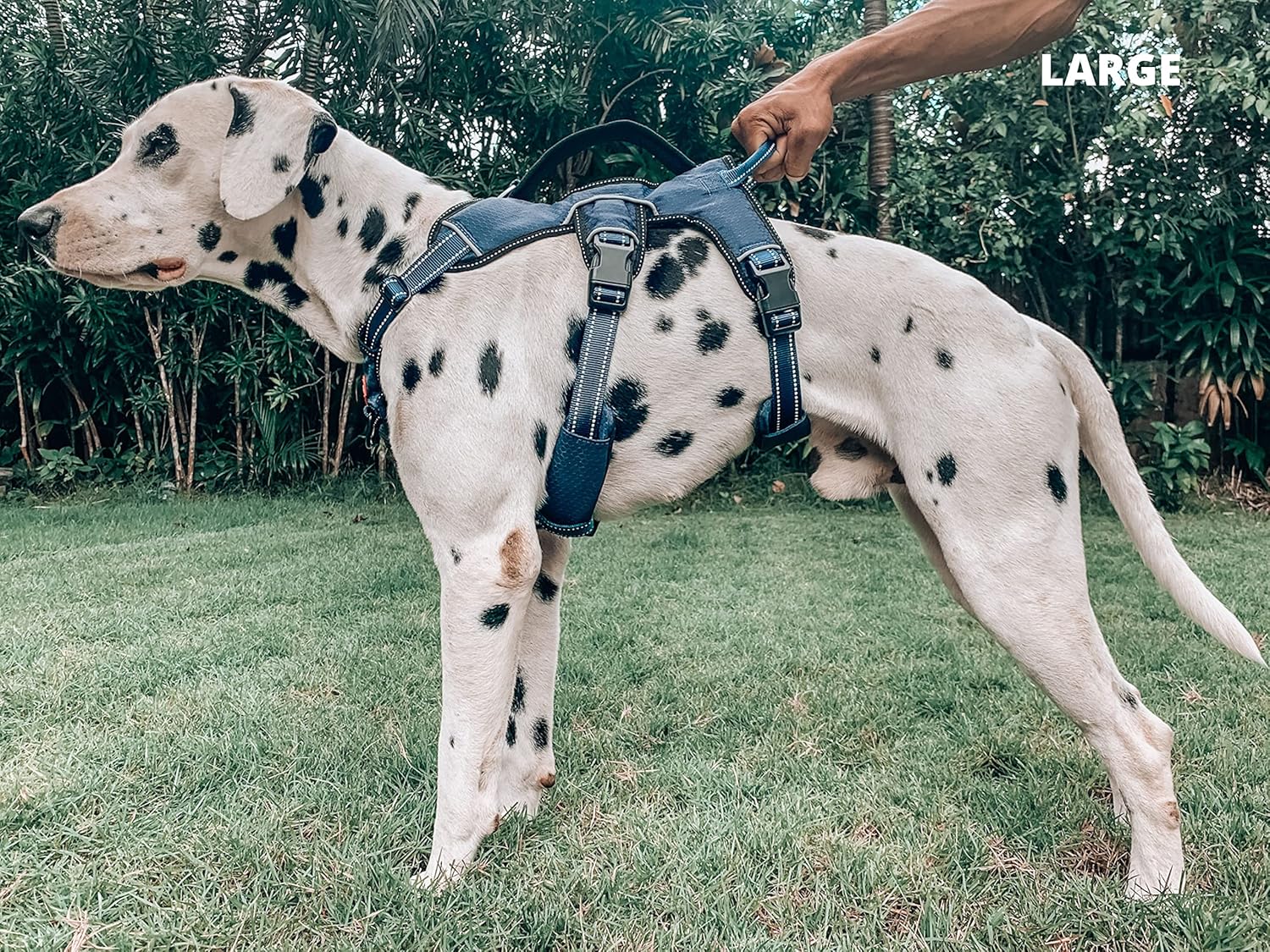 Tuff Pupper Escape Proof No Escape Dog Harness | 5 Point Adjustable Fit Harness for Dogs | Padded Dog Harnesses | Handle Dog Lift Harnesses