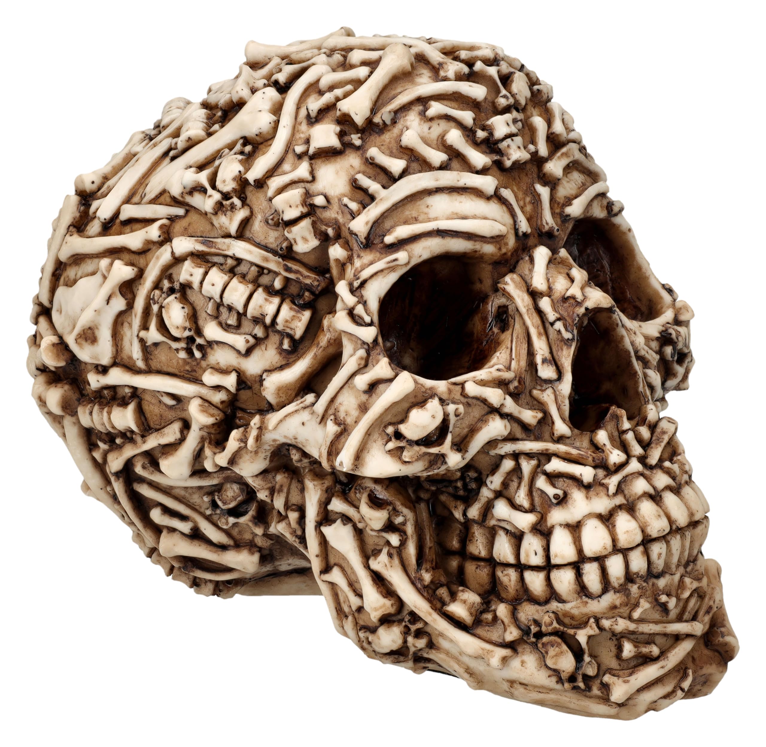 Tête de mort ossuaire Pacific Giftware figurine crâne en résine à offrir