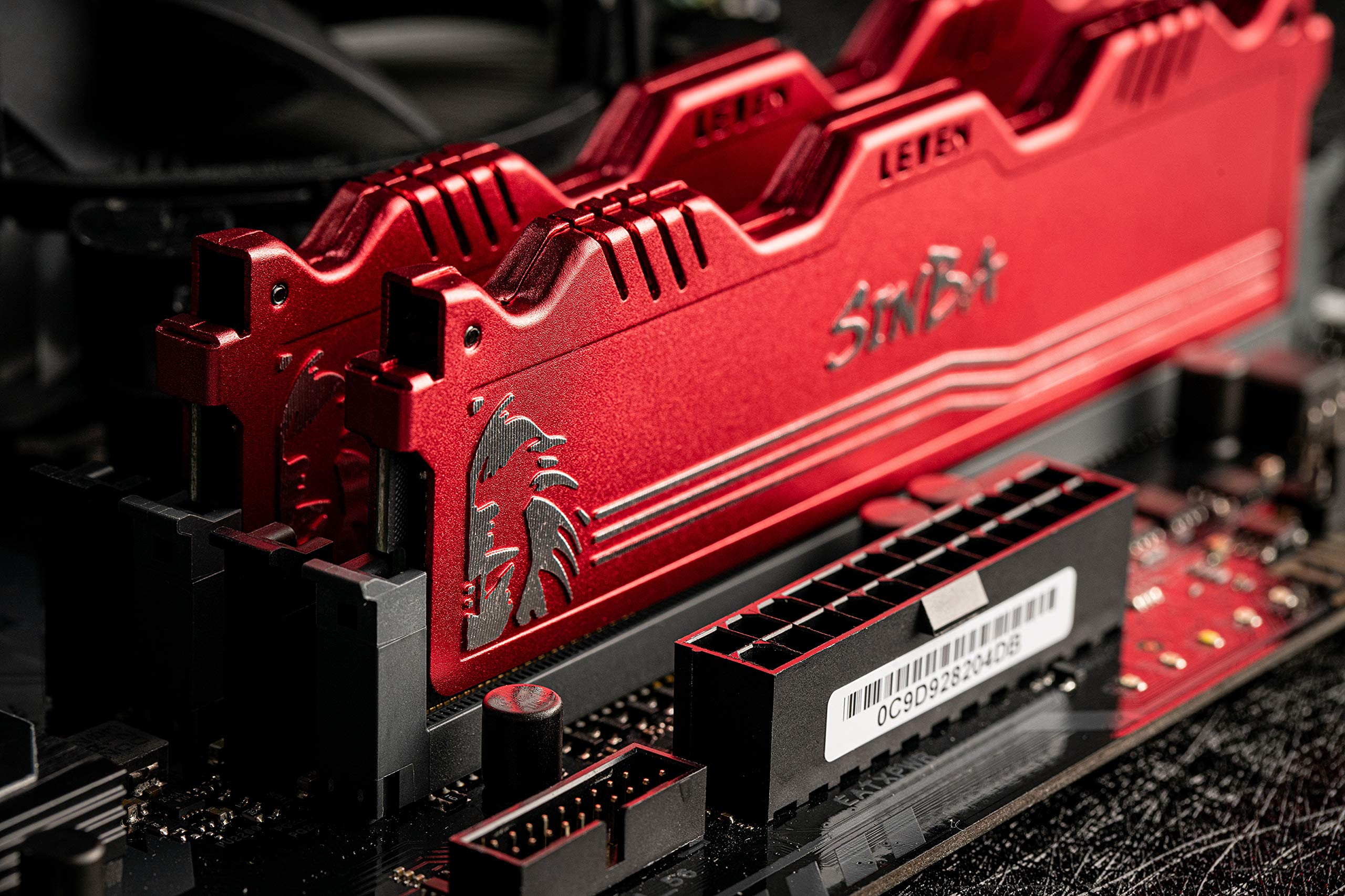 Amazon.com: LEVEN SINBA KIT de 32 GB (16 GBx2) DDR4 3000 MHz PC4